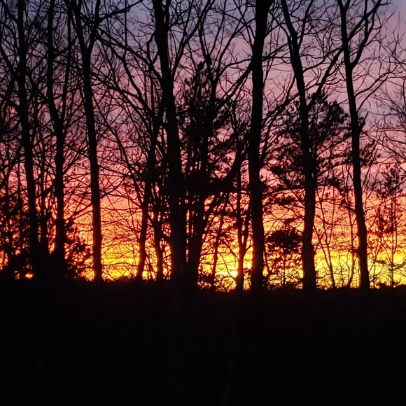 Meet your Posher, Tammara - Picture 2 of 2